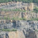 Exkursion in den Piesberg  am 13. Mai 2018 (46)